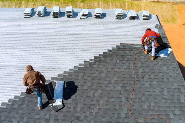 Best Roofing Contractor Near Me  in De Soto, IL