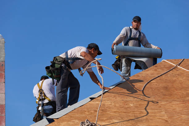 Best Residential Roofing Contractor  in De Soto, IL