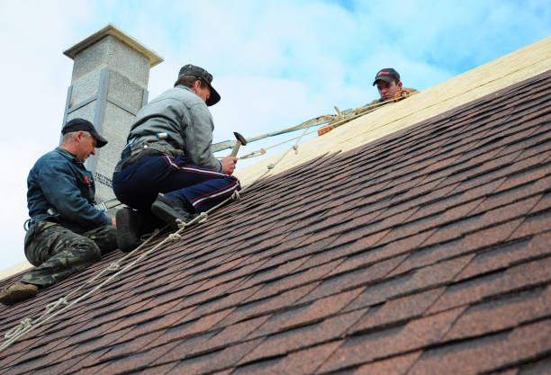 Quick and Trustworthy Emergency Roof Repair Services in De Soto, IL
